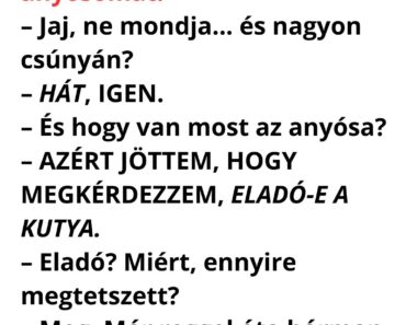 Jó napot, szomszéd