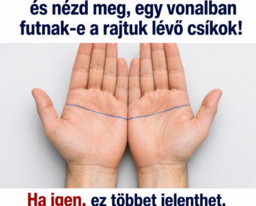 💥 Illeszd össze a tenyereidet, és nézd meg, egy vonalban futnak-e a rajtuk lévő csíkok! Ha igen, ez többet jelenthet, mint gondolnád. 💥