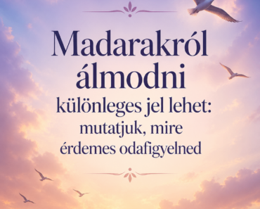 🐦✨ Madarakról álmodni különleges jel lehet: mutatjuk, mire érdemes odafigyelned ✨🐦