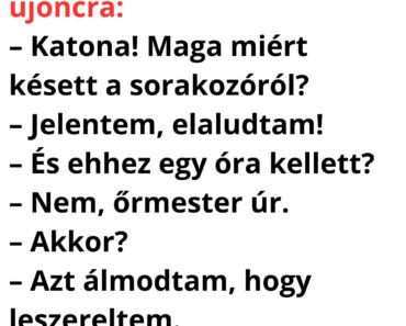 Az őrmester ordít az újoncra: