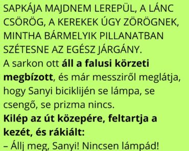 Sanyi nagy lendülettel száguld lefelé a falu legmeredekebb utcáján a régi biciklijével