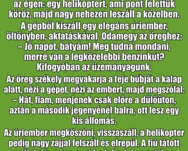 A székely bácsi és a fia a mezőn kaszálnak.