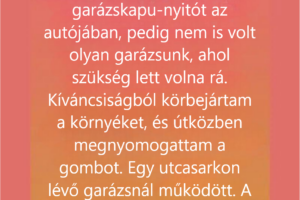 Egy különös garázsnyitó mutatta meg, mennyi jóság volt benne
