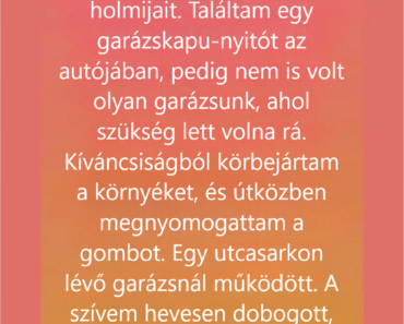 Egy különös garázsnyitó mutatta meg, mennyi jóság volt benne