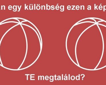 EGY TESZT AZOKNAK, AKIKNEK 135-NÉL MAGASABB AZ IQ-JUK! TALÁLD MEG A KÜLÖNBSÉGET A KÉPEN!