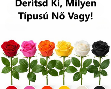 Válassz egy rózsát, és nézd meg, milyen típusú nő vagy Válassz egy rózsát, és nézd meg, milyen típusú nő vagy