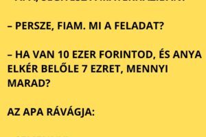 Apa és a matekházi