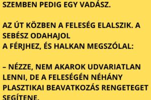 A híres plasztikai sebész felszáll a zsúfolt vonatra, és nagy nehezen talál egy szabad fülkét