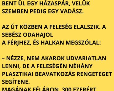 A híres plasztikai sebész felszáll a zsúfolt vonatra, és nagy nehezen talál egy szabad fülkét