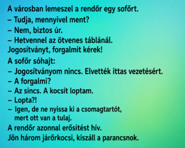 A városban lemeszel a rendőr egy sofőrt.