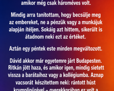 Amikor a fiam közölte, hogy szégyelli a munkámat, csak csendben bólintottam – de másnap olyat tettem, amit azóta sem felejtett el Amikor a fiam közölte, hogy szégyelli a munkámat, csak csendben bólintottam – de másnap olyat tettem, amit azóta sem felejtett el