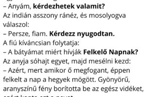 Az indián fiú egy este ott ül a tűz mellett az anyjával, és nagyon elgondolkodva nézi a csillagokat.