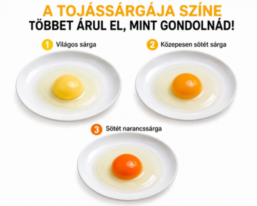 🥚 Ezért nem mindegy, milyen tojást teszel a tányérra: a tojássárgája színe körül nagyobb a tévedés, mint hinnéd