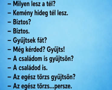 Egy borongós őszi napon az öreg indián elmegy a varázslóhoz és
