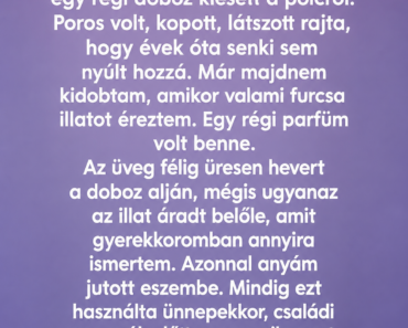 Egy esős délutánon a padláson pakoltam, amikor egy régi doboz kiesett a polcról.