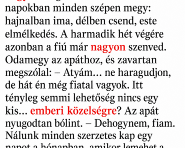 Egy fiatal férfi úgy dönt, hogy elege van a világi életből, és bevonul egy nagyon szigorú kolostorba.