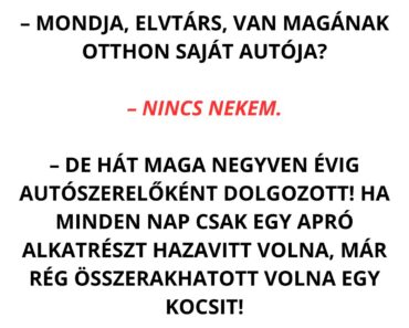 Egy orosz autószerelő nyugdíjba megy, és interjút készítenek vele. Egy orosz autószerelő nyugdíjba megy, és interjút készítenek vele.