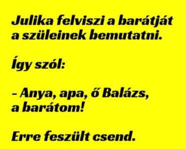 VICC: Julika felviszi a barátját a szüleinek bemutatni…..