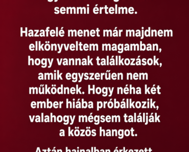 Sokáig azt hittem, az a bizonyos este teljes kudarc volt. Sokáig azt hittem, az a bizonyos este teljes kudarc volt.