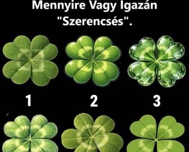 Ne csalj, válaszd ki a kakukktojást, és kiderül, mennyire vagy igazán „szerencsés”
