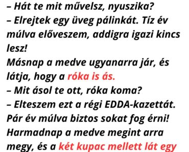 A medve sétál az erdőben, amikor meglátja a nyuszit, amint nagy lelkesen ás egy gödröt. A medve sétál az erdőben, amikor meglátja a nyuszit, amint nagy lelkesen ás egy gödröt.