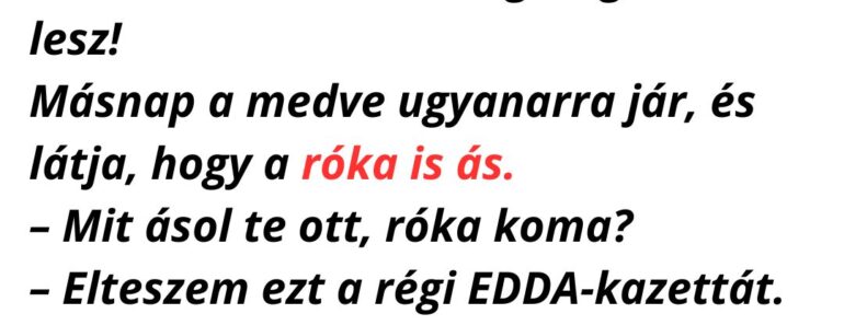 A medve sétál az erdőben, amikor meglátja a nyuszit, amint nagy lelkesen ás egy gödröt.