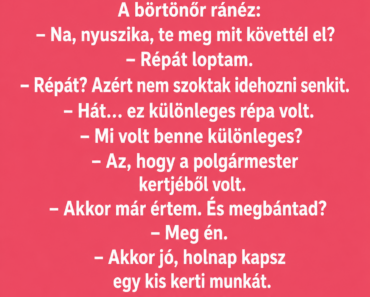 A nyuszika bekerül a börtönbe.