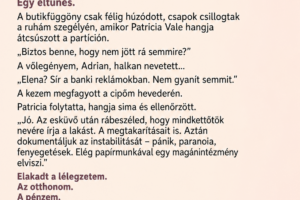 Esküvői cipő kipróbálása közben hallottam, hogy anyósom azt mondja: «biztos benne, hogy nem gyanít semmit? El akarjuk venni a lakását és a pénzét. Akkor elmegyógyintézetbe küldjük!»Szótlan voltam. Aztán elmosolyodtam…