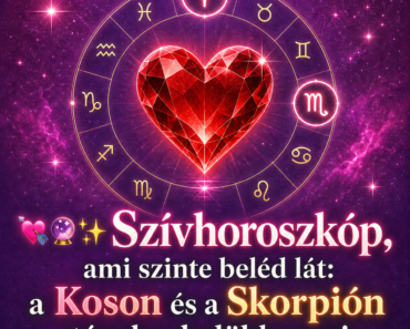 💘🔮✨ Szívhoroszkóp, ami szinte beléd lát: a Koson és a Skorpión tényleg ledöbbensz! 💘🔮✨ Szívhoroszkóp, ami szinte beléd lát: a Koson és a Skorpión tényleg ledöbbensz!
