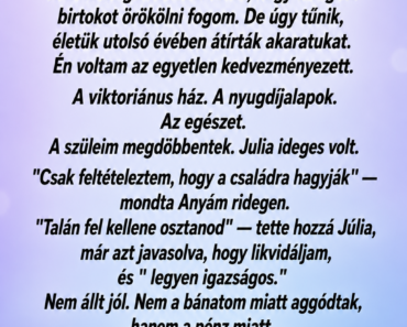 Három évvel ezelőtt az életem örökre megváltozott, amikor örököltem mindent, ami a nagyszüleim tulajdonában volt Három évvel ezelőtt az életem örökre megváltozott, amikor örököltem mindent, ami a nagyszüleim tulajdonában volt