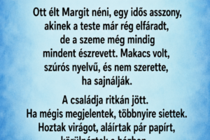 Tizenkét évig gondoskodtam róla – a családja sosem becsült meg, de az utolsó levele mindent megváltoztatott