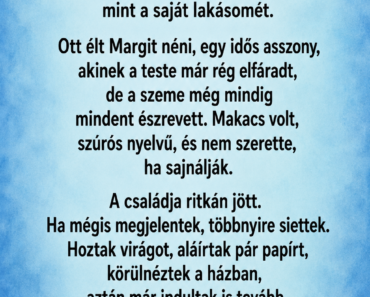 Tizenkét évig gondoskodtam róla – a családja sosem becsült meg, de az utolsó levele mindent megváltoztatott