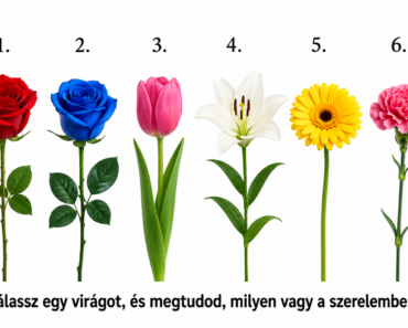 Válassz egy virágot, és megtudod, milyen vagy a szerelemben ❤️