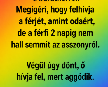 VICC: A feleség elmegy nyaralni a barátnőivel. Megígéri, hogy felhívja a férjét