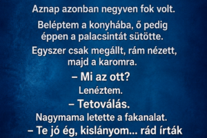 A nagymamám hetvennyolc éves volt, amikor először meglátta a tetoválásomat.