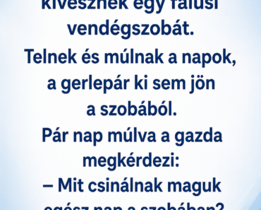 VICC: A nászutasok kivesznek egy falusi vendégszobát, és napokig ki sem mozdulnak