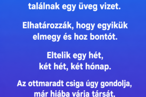 Két csiga megy a sivatagban