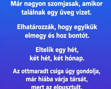 Két csiga megy a sivatagban