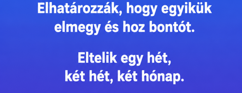 Két csiga megy a sivatagban