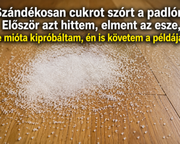 🍬 Szándékosan cukrot szórt a padlóra. Először azt hittem, elment az esze, de amikor megtudtam az okát, én is kipróbáltam