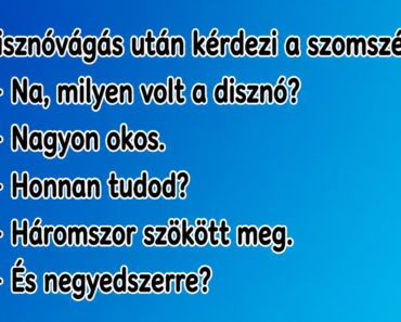 Disznóvágás után kérdezi a szomszéd