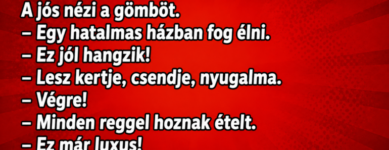 Vicc: Egy férfi elmegy a jóshoz.