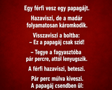 Vicc: Egy férfi vesz egy papagájt.
