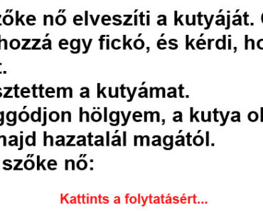 Egy szőke nő elveszíti a kutyáját. Odamegy hozzá egy fickó, és kérdi, hogy mi történt.