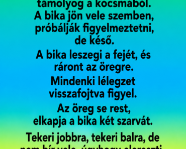 VICC: Pista bácsi szembe kerül egy tomboló bikával