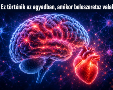 ❤️ Ez történik az agyadban, amikor beleszeretsz valakibe