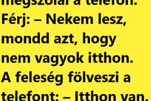VICC: Férj és feleség alszik éjjel, egyszercsak megszólal a telefon