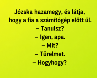 Józska hazamegy, és látja, hogy a fia a számítógép előtt ül. Józska hazamegy, és látja, hogy a fia a számítógép előtt ül.
