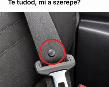 🚗 Kevesen tudják, mire való ez a kis gomb a biztonsági övön. 😮 Te tudod, mi a szerepe?