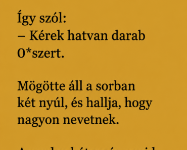 VICC: Bemegy a medve a gyógyszertárba